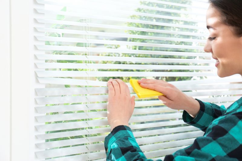 Blinds And Shades Cleaning For Allergy-Friendly Homes