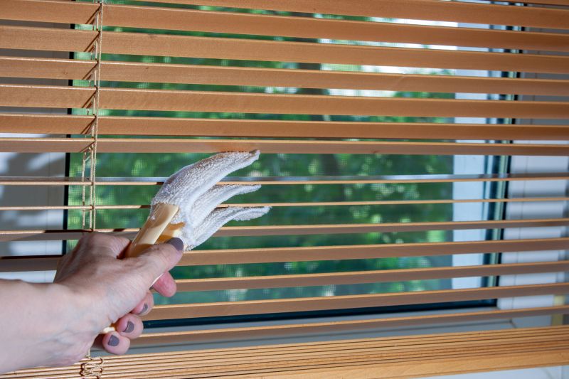 Blinds Cleaning