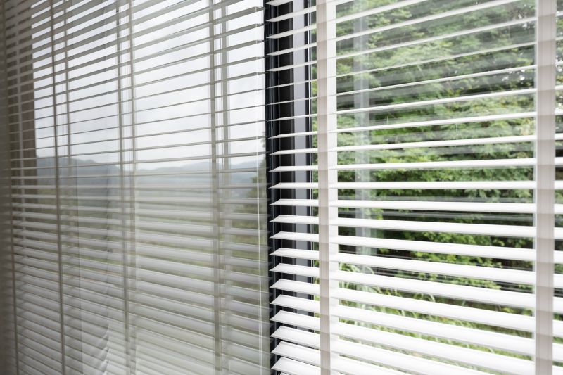 Blinds Cleaning